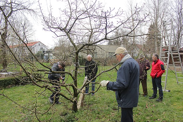 Obstbaumschnittkurs 2016