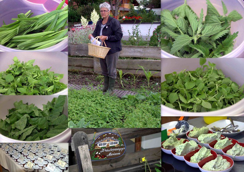 Collage Besuch bei der Wildkräuterpädagogin