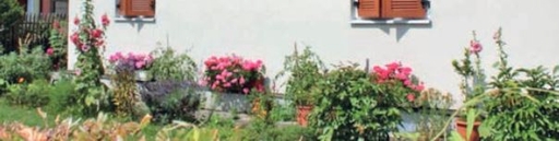 Blumenschmuckwettbewerb