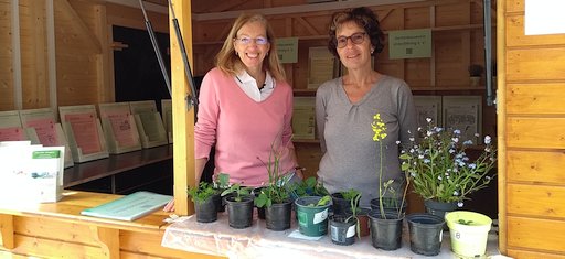 Stand beim Umwelttag