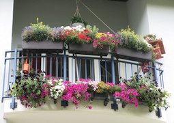 Blumenschmuckwettbewerb