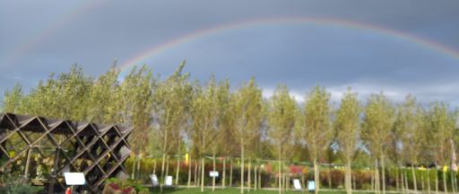 Regenbogen